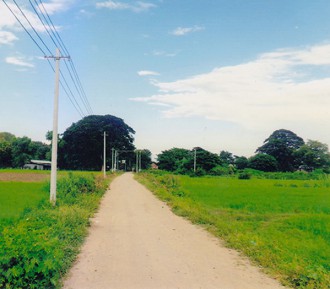 သီးကုန္း - စမ္းအိုင့္ ရြာတြင္းလမ္း